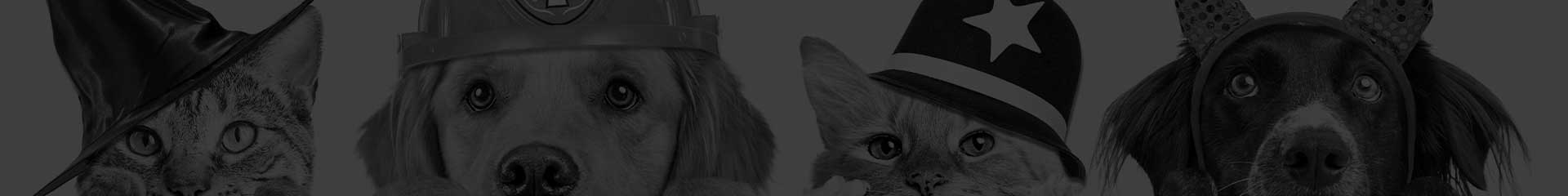 Monkimau Banner
