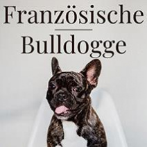 Franzsiche Bulldogge
