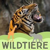 Wildtiere