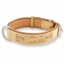 Halsbnder & Geschirre