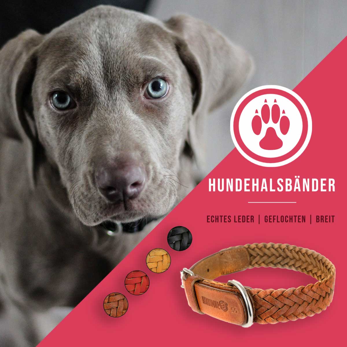 Stylische Leder Hundehalsb�nder f�r deinen treuen Begleiter!