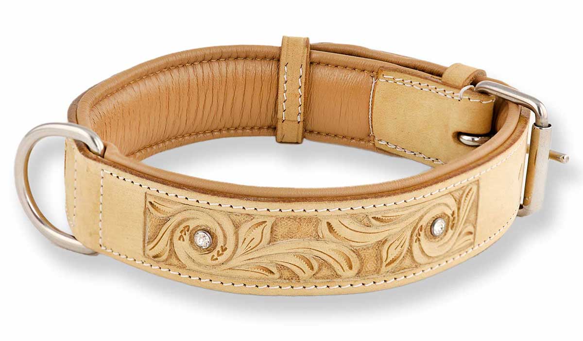 Neue hochwertige Hundehalsbnder im Sortiment