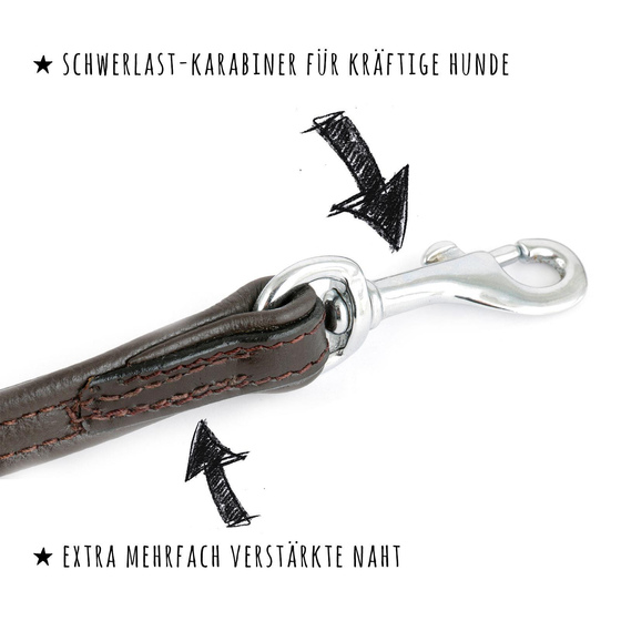 Kurzfhrer Hundeleine aus Leder