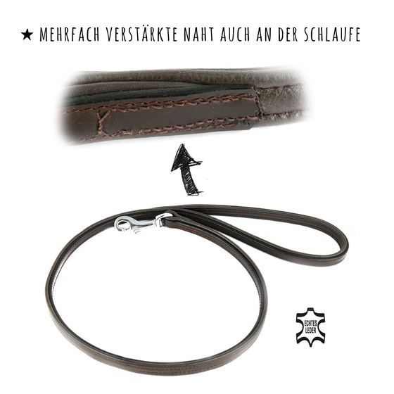 Kurzfhrer Hundeleine aus Leder