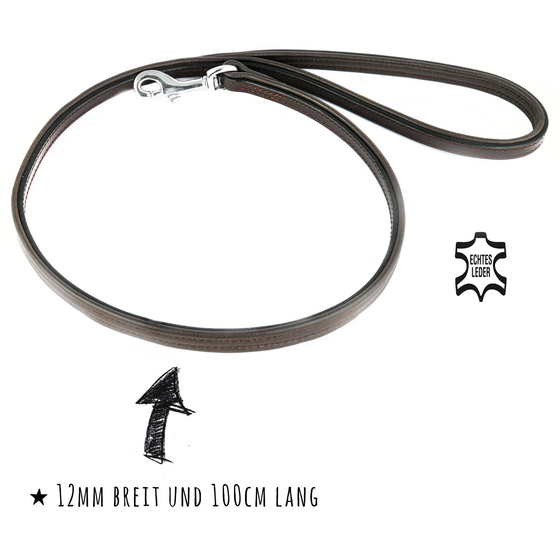Kurzfhrer Hundeleine aus Leder