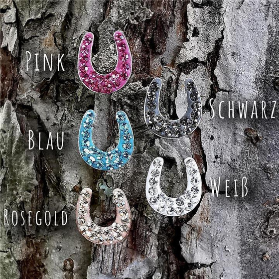 Hufeisen Glcksbringer Ohrringe aus 925 Silber