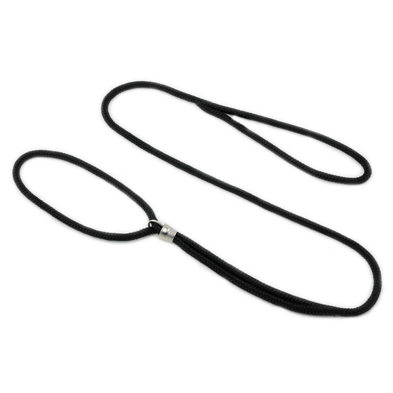 Auf dem Bild zu sehen ist eine Ringleine Hundeleine f�r Hunde aus Nylon