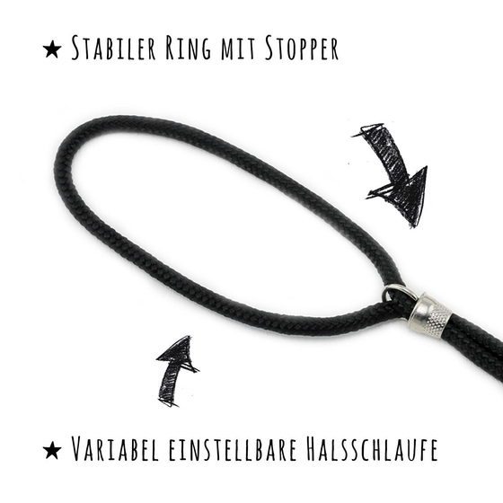 Das Bild mit Beschreibung zeigt eine Ringleine Hundeleine f�r Hunde aus Nylon