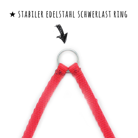 Das Bild mit Beschreibung zeigt eine Koppelleine Hundeleine fr 2 Hunde aus Nylongurt