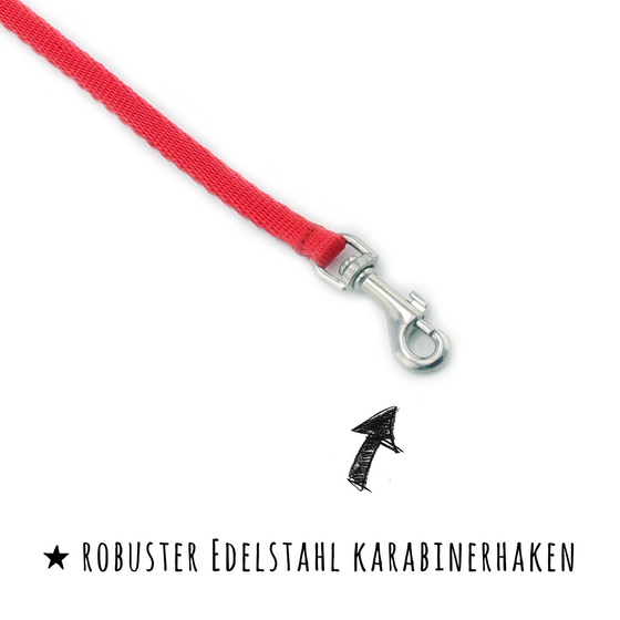 Koppelleine aus Nylon