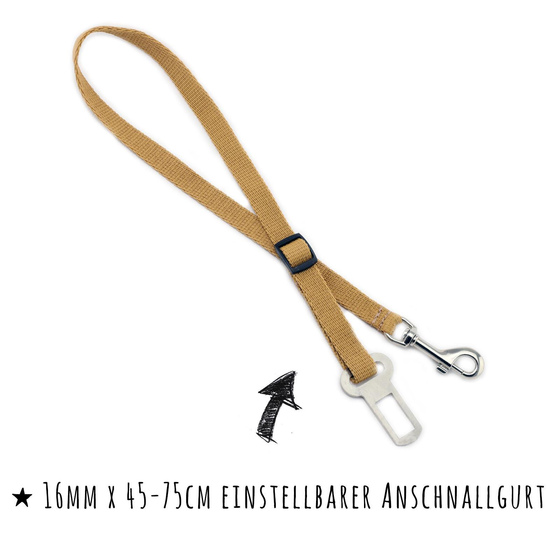 Sicherheitsgurt aus Nylon