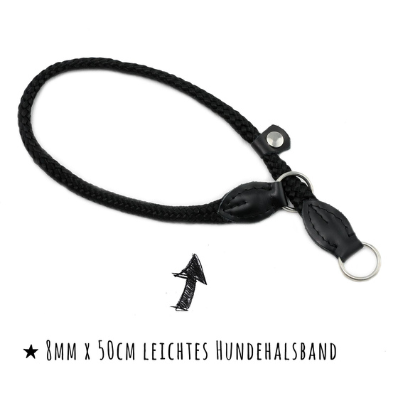 Zugstopp Hundehalsband aus Nylon