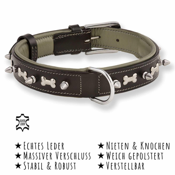 Das Bild mit Beschreibung zeigt ein Halsband fr Hunde aus echt Leder mit Knochen und Nieten breit gepolstert und verstellbar in der Farbe schwarz
