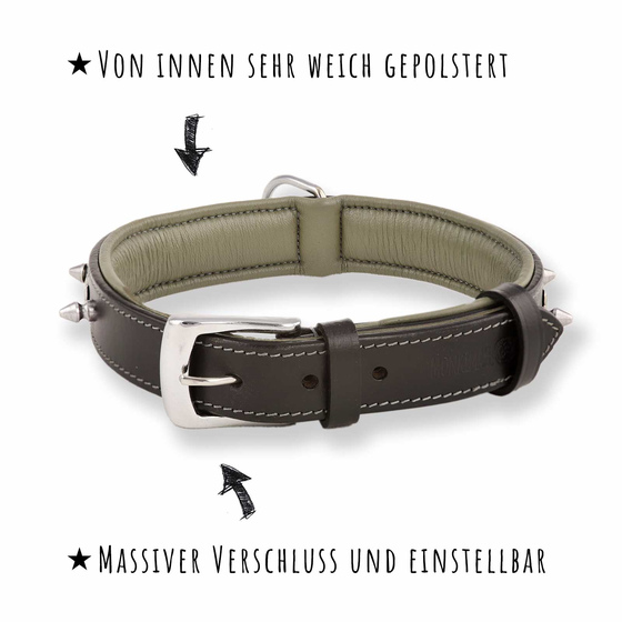 Hundehalsband aus Leder schwarz mit Knochen und Nieten M-L
