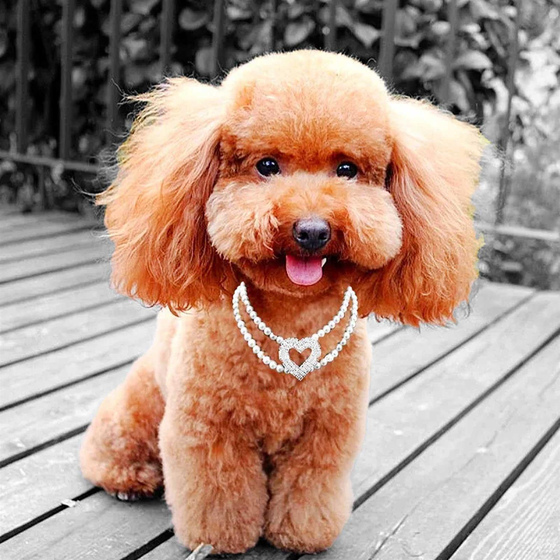 Hundehalsband Katzenhalsband Kette mit Strasssteinchen und Herz Anhnger pink