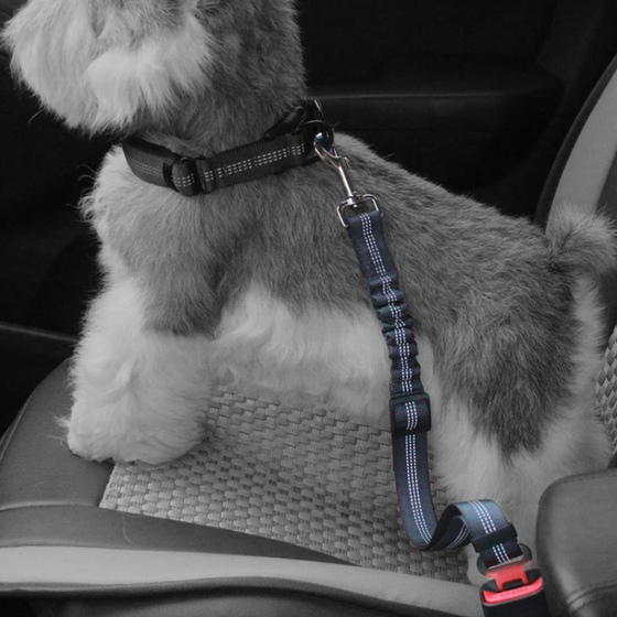 Hunde Sicherheitsgurt mit Ruckdmpfer aus Nylon