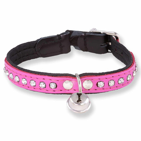 Auf dem Bild zu sehen ist ein Katzenhalsband aus Leder...