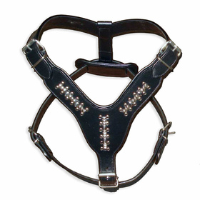 Auf dem Bild zu sehen ist ein Hundegeschirr aus Leder...