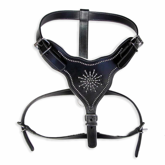 Auf dem Bild zu sehen ist ein Hundegeschirr aus Leder mit Nieten verziert verstellbar fr groe Hunde