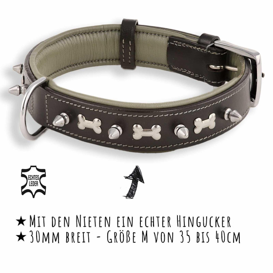 Hundehalsband aus Leder mit Knochen und Nieten verziert
