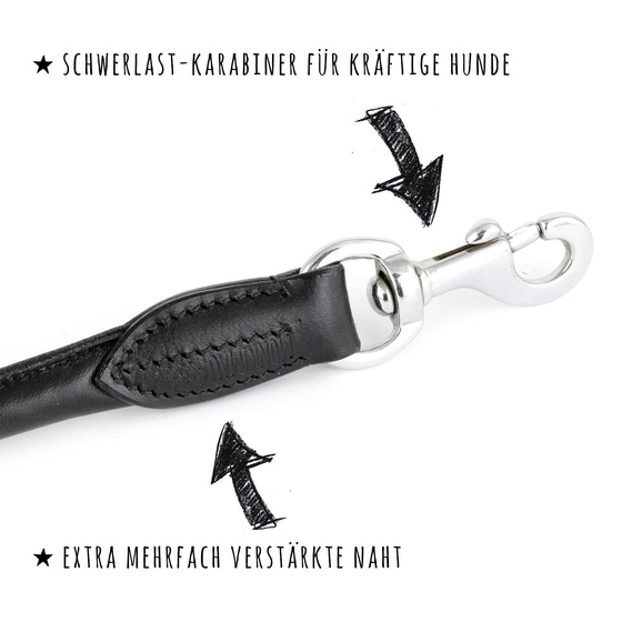 verstellbare Hundeleine aus Leder