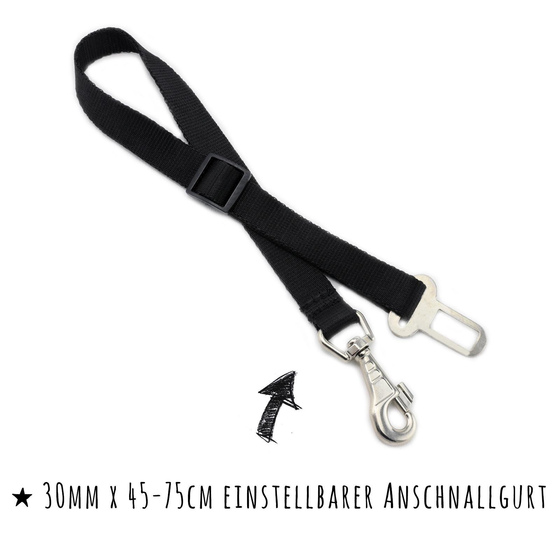 Sicherheitsgurt aus Nylon