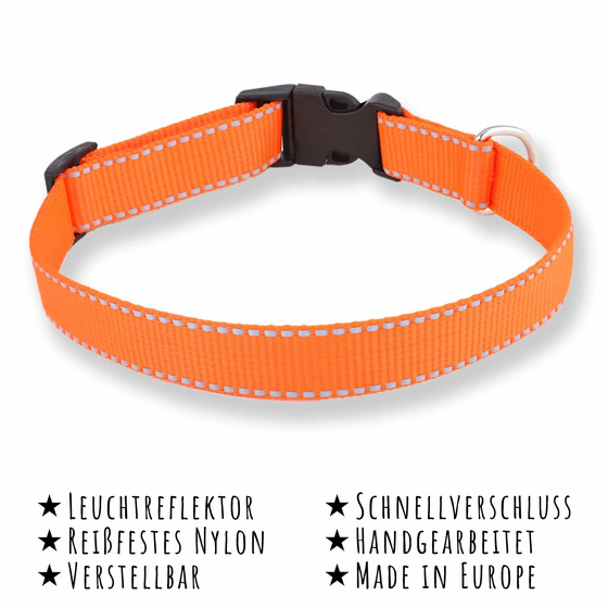 Hundehalsband aus Nylon orange reflektierend