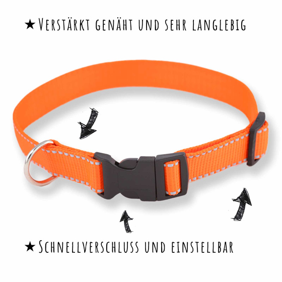 Hundehalsband aus Nylon orange reflektierend