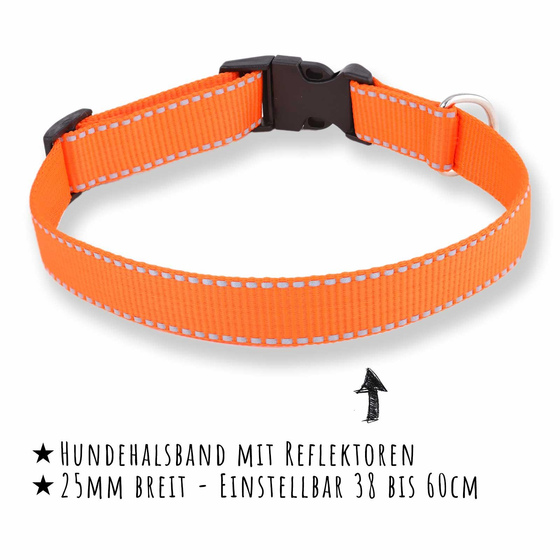 Hundehalsband aus Nylon orange reflektierend