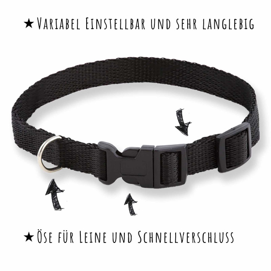Hundehalsband aus Nylon - Verstellbar, Schwarz, fr mittelgroe Hunde