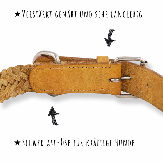 Hundehalsband aus Leder geflochten beige M-L