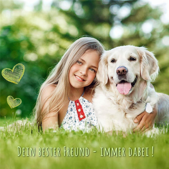 Hundehalsband aus Leder geflochten beige M-L