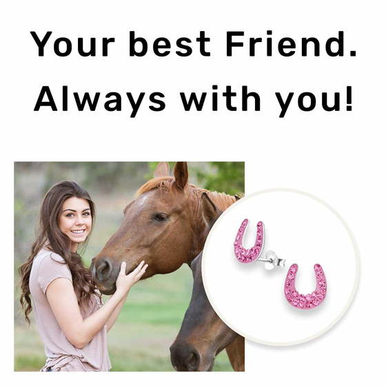 Hufeisen Gl�cksbringer Ohrringe aus 925 Silber