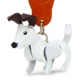 Auf dem Bild zu sehen ist ein Jack Russell Terrier Hund...