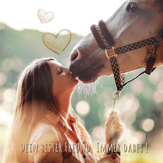 Pferde Kinder Ohrringe aus 925 Silber