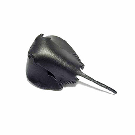 Pfeilschwanzkrebs Schlsselanhnger aus Leder