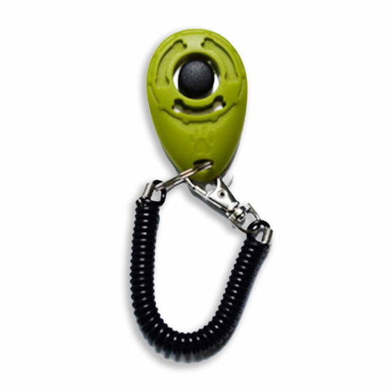 Klicker Training Hund in gr�n