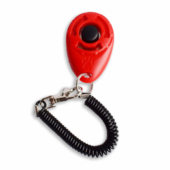 Klicker Training Hund in rot