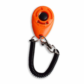Klicker Training Hund in orange