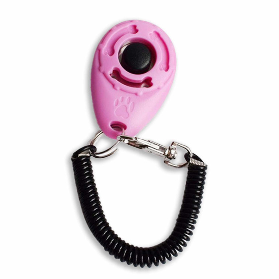 Klicker Training Hund in pink