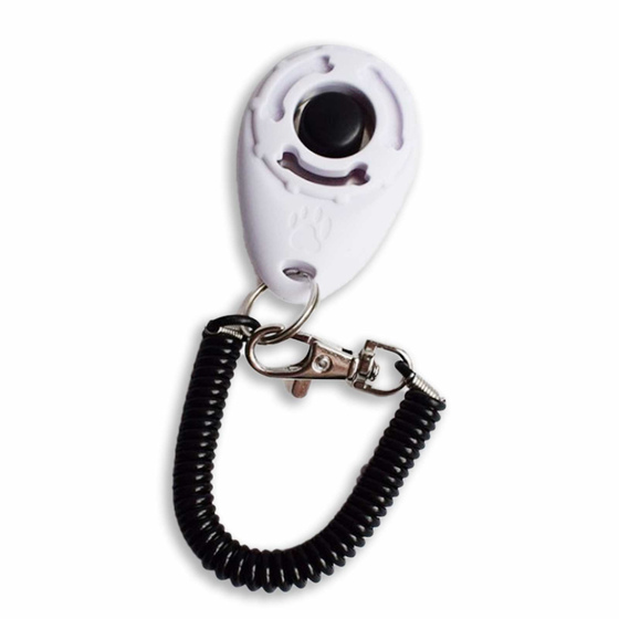 Klicker Training Hund in wei