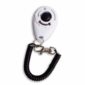 Klicker Training Hund in wei