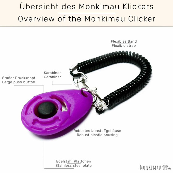 Klicker Training Hund in lila