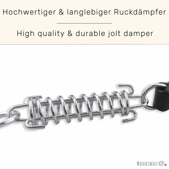 Kurzfhrer Hundeleine aus Leder