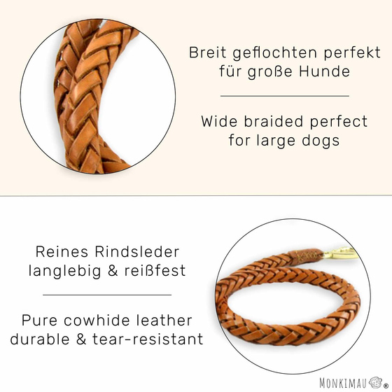 Hundeleine Leder geflochten