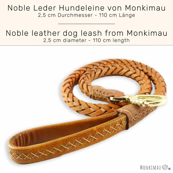 Hundeleine Leder geflochten