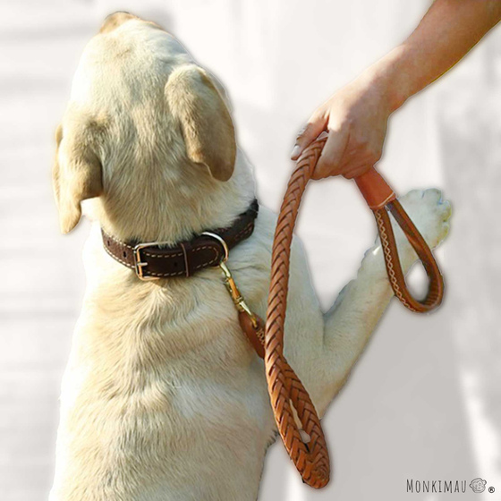 Hundeleine Leder geflochten