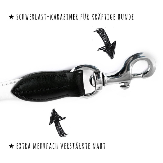 verstellbare Hundeleine aus Leder