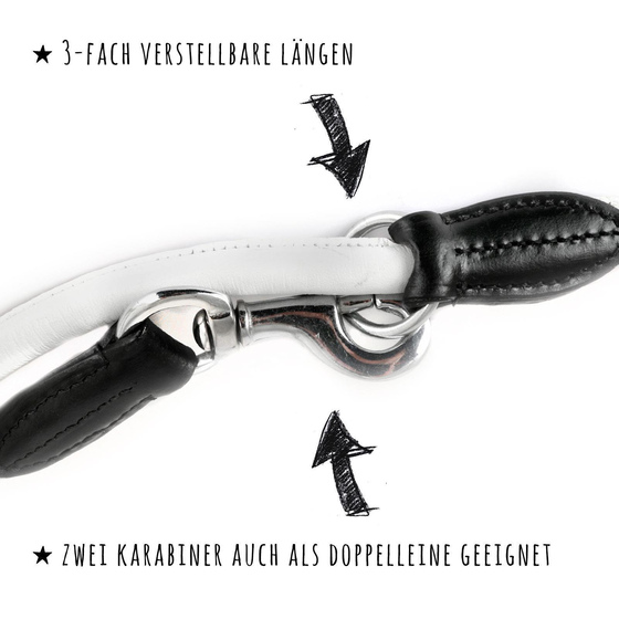 verstellbare Hundeleine aus Leder