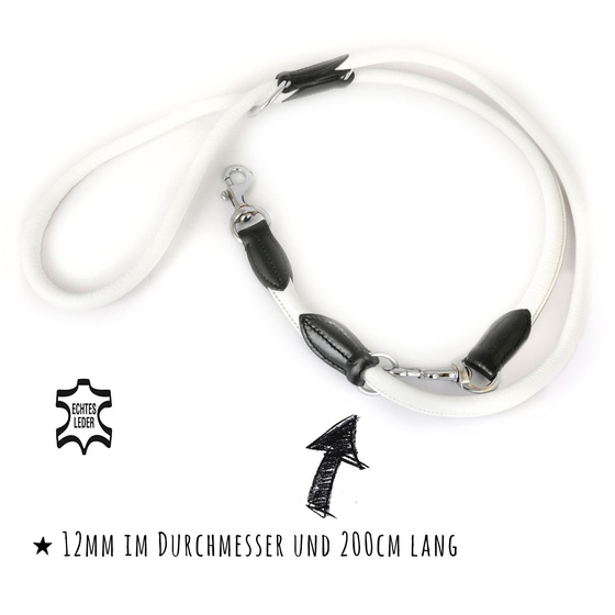 verstellbare Hundeleine aus Leder